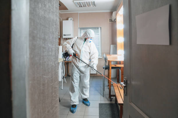 Best Comprehensive Air Testing for Mold Contaminants  in Lighthouse Point, FL