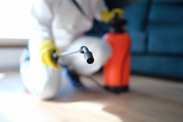 Best Asbestos and Lead Testing During Mold Inspection  in Lighthouse Point, FL